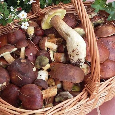 Agroturystyka Rebowo Klodawa  Экстерьер фото