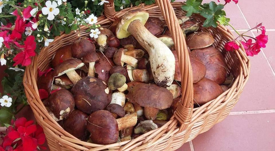 Agroturystyka Rebowo Klodawa  Экстерьер фото