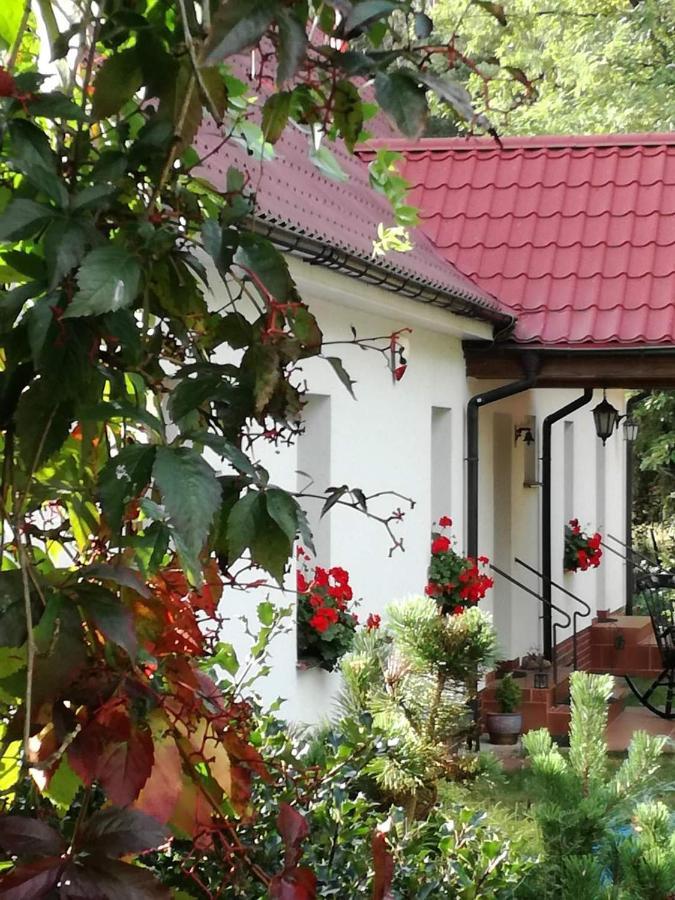 Agroturystyka Rebowo Klodawa  Экстерьер фото