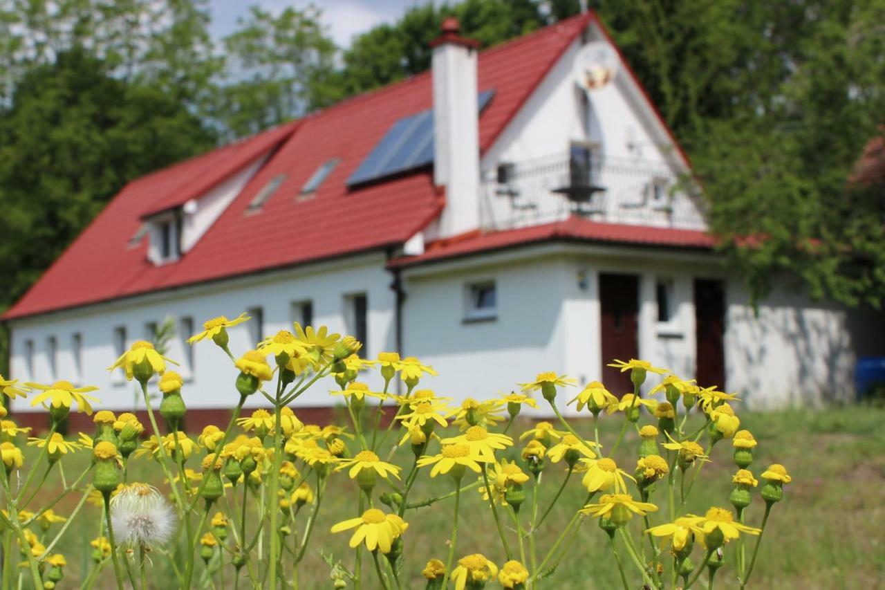 Agroturystyka Rebowo Klodawa  Экстерьер фото